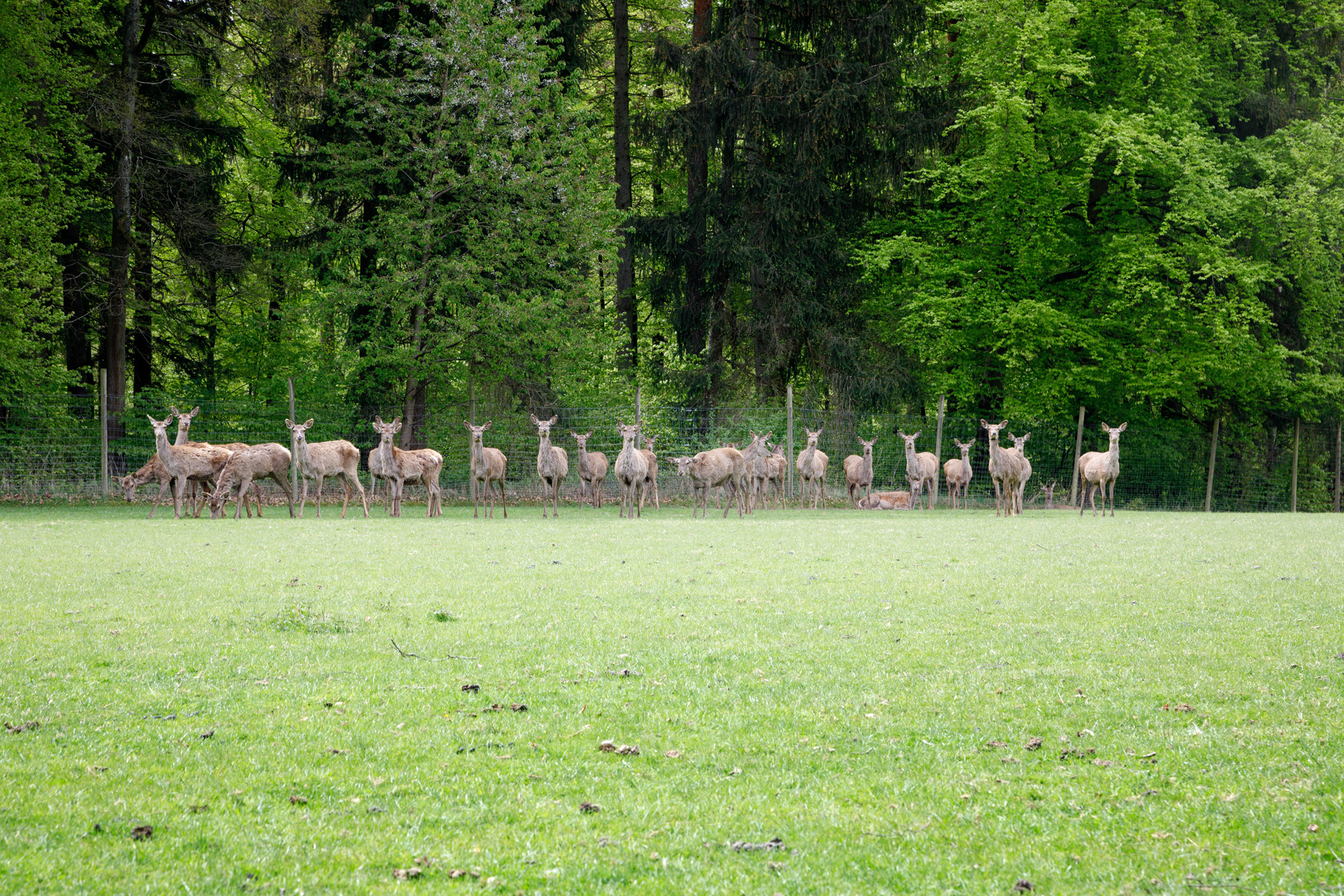 Der Wild- und Freizeitpark